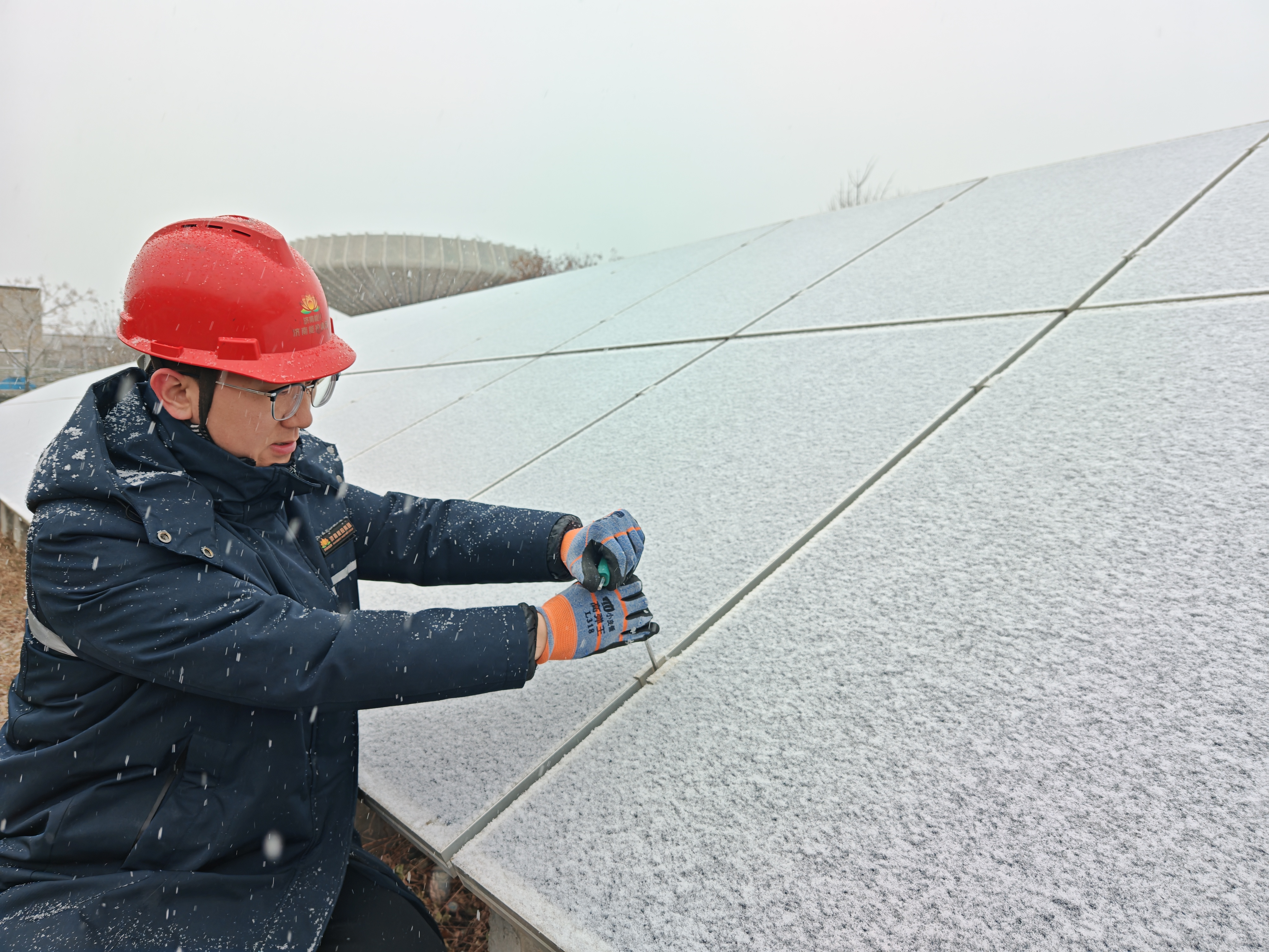 Z6���������ǲ�(�й���)�ٷ���վ