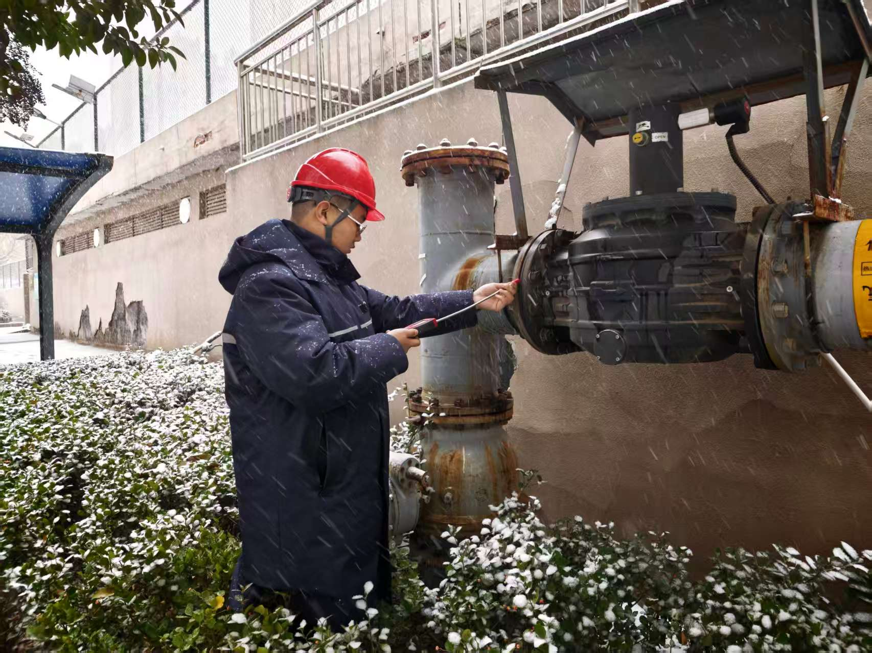 Z6���������ǲ�(�й���)�ٷ���վ