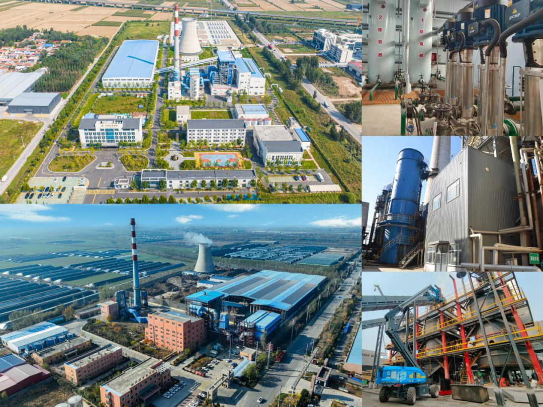 Z6���������ǲ�(�й���)�ٷ���վ