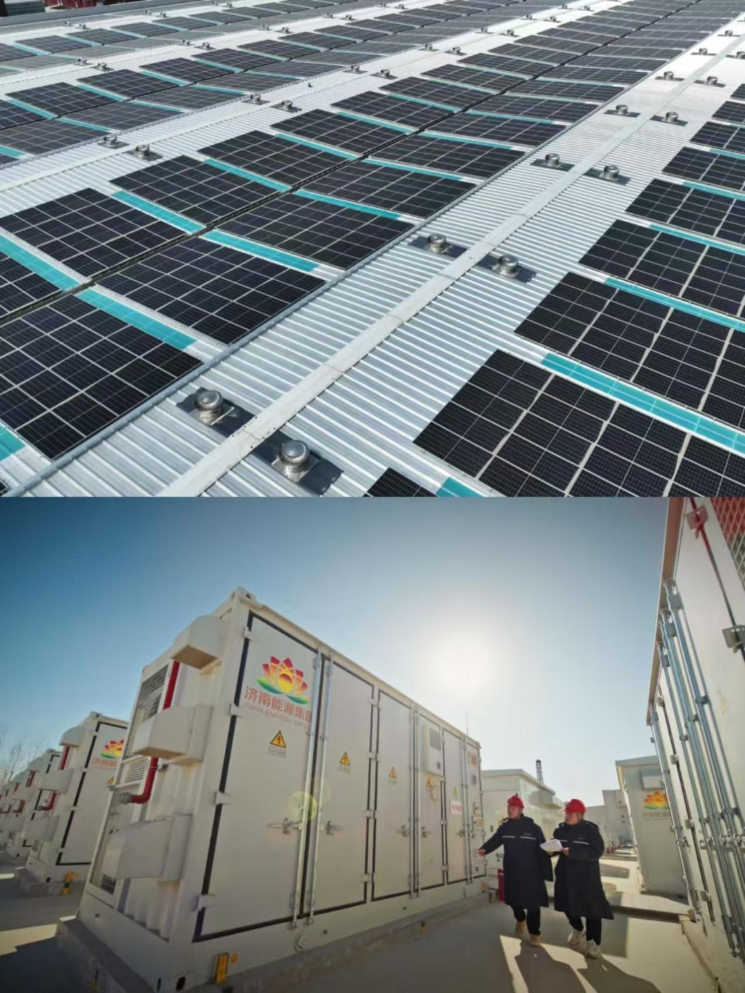 Z6���������ǲ�(�й���)�ٷ���վ